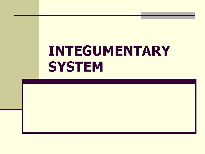 INTEGUMENTARY SYSTEM 