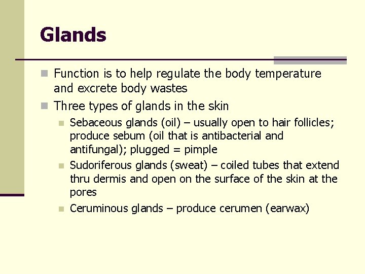 Glands n Function is to help regulate the body temperature and excrete body wastes