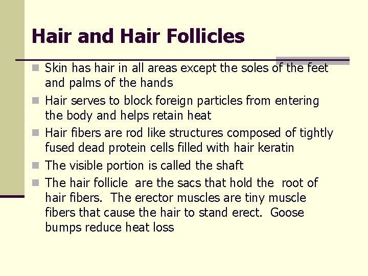 Hair and Hair Follicles n Skin has hair in all areas except the soles