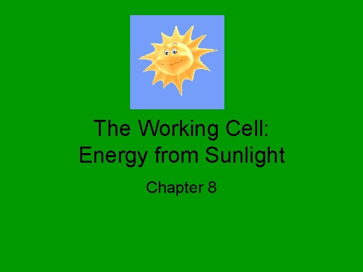 The Working Cell: Energy from Sunlight Chapter 8 
