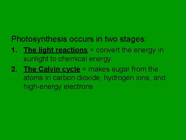 Photosynthesis occurs in two stages: 1. The light reactions = convert the energy in