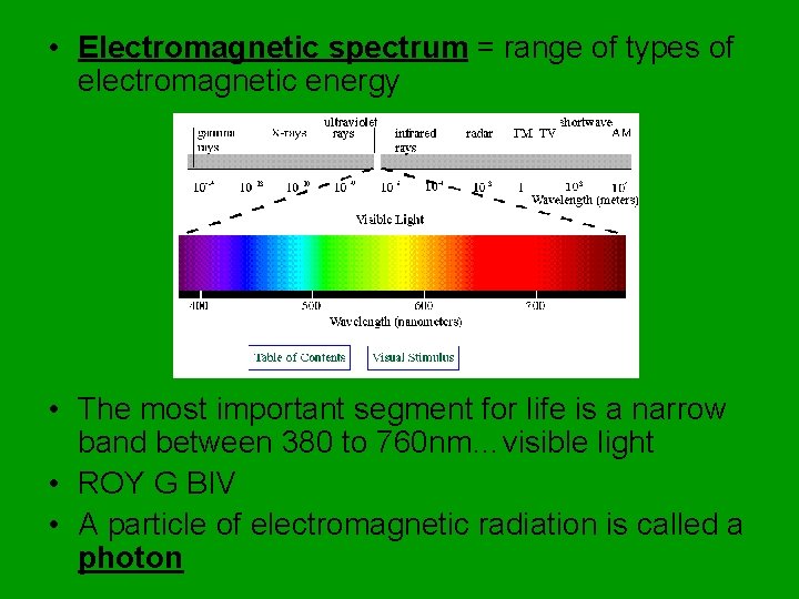  • Electromagnetic spectrum = range of types of electromagnetic energy • The most