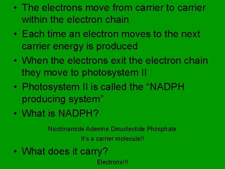 • The electrons move from carrier to carrier within the electron chain •