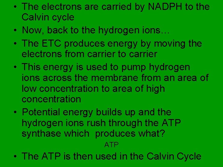  • The electrons are carried by NADPH to the Calvin cycle • Now,