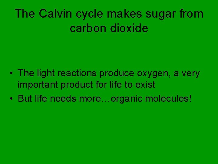 The Calvin cycle makes sugar from carbon dioxide • The light reactions produce oxygen,