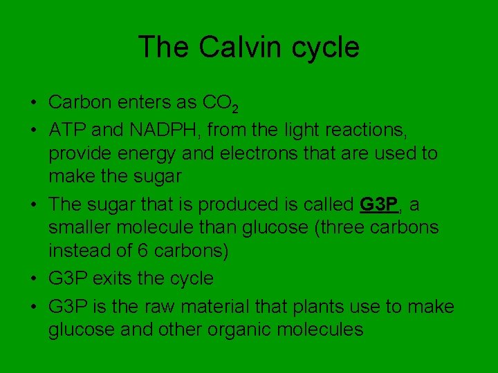 The Calvin cycle • Carbon enters as CO 2 • ATP and NADPH, from