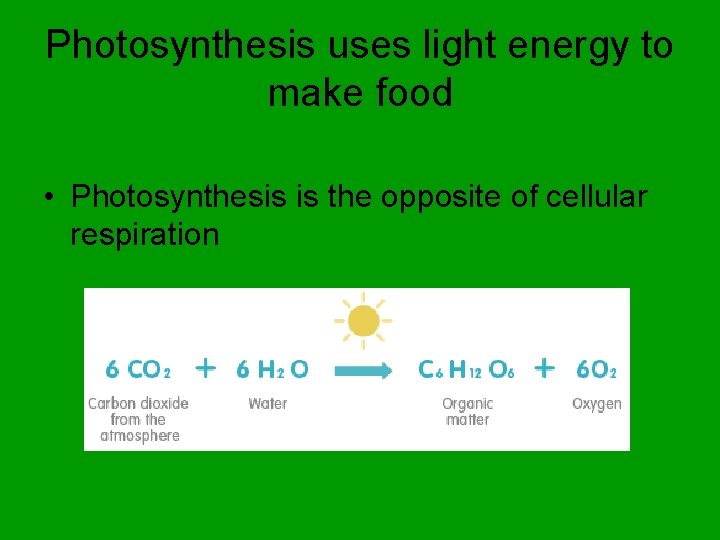 Photosynthesis uses light energy to make food • Photosynthesis is the opposite of cellular