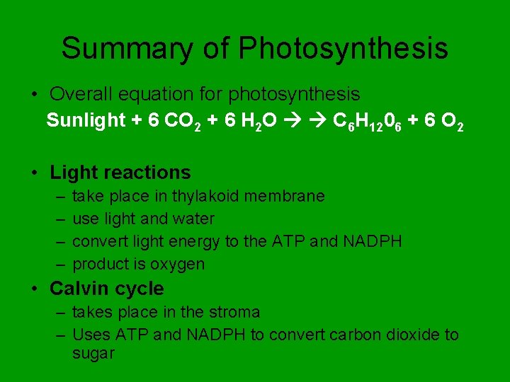 Summary of Photosynthesis • Overall equation for photosynthesis Sunlight + 6 CO 2 +
