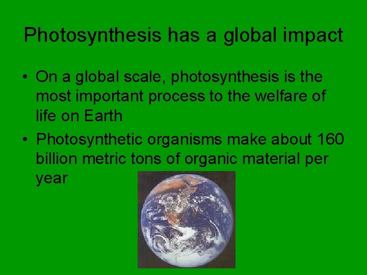 Photosynthesis has a global impact • On a global scale, photosynthesis is the most