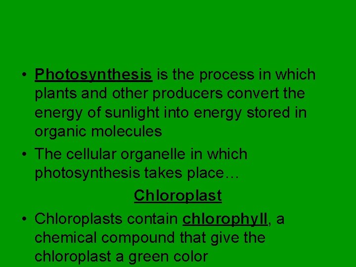  • Photosynthesis is the process in which plants and other producers convert the