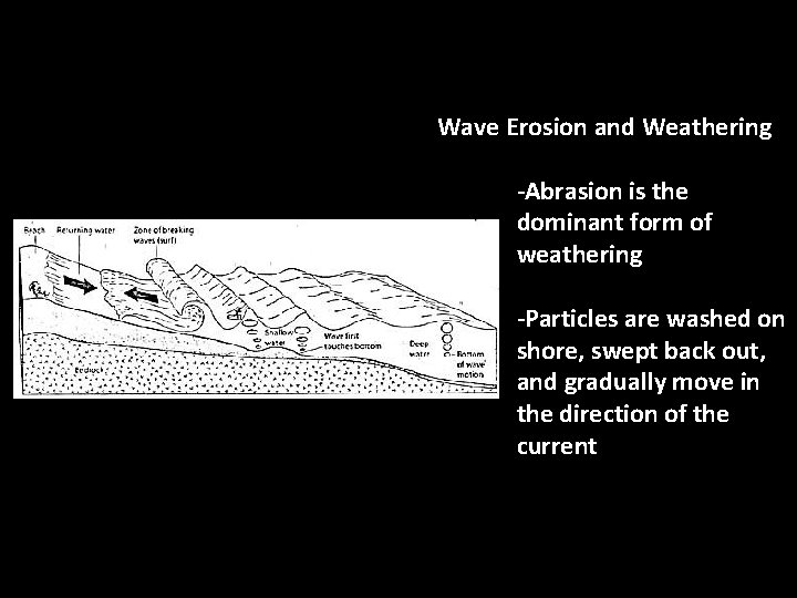 Wave Erosion and Weathering -Abrasion is the dominant form of weathering -Particles are washed