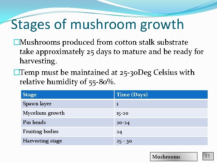 Stages of mushroom growth �Mushrooms produced from cotton stalk substrate take approximately 25 days