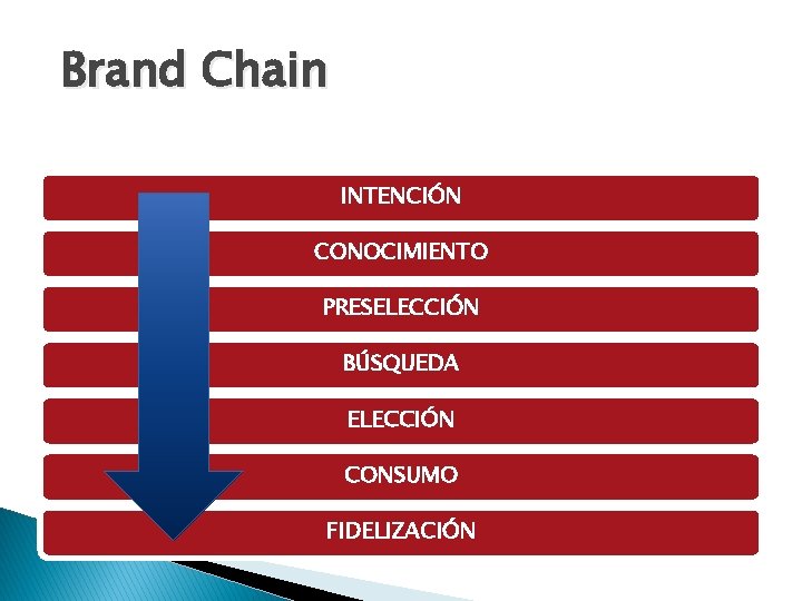 Brand Chain INTENCIÓN CONOCIMIENTO PRESELECCIÓN BÚSQUEDA ELECCIÓN CONSUMO FIDELIZACIÓN Brand Chain INTENCIÓN CONOCIMIENTO PRESELECCIÓN BÚSQUEDA ELECCIÓN CONSUMO FIDELIZACIÓN