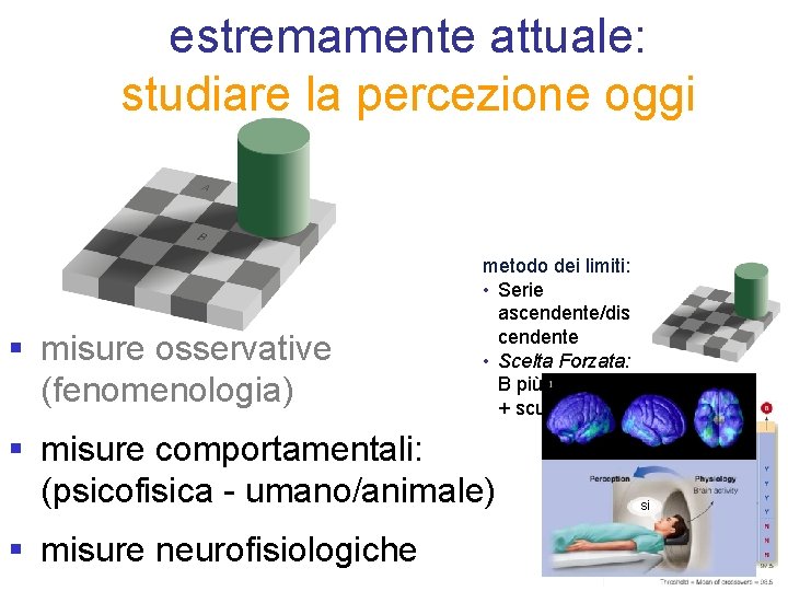 estremamente attuale: studiare la percezione oggi § misure osservative (fenomenologia) metodo dei limiti: •