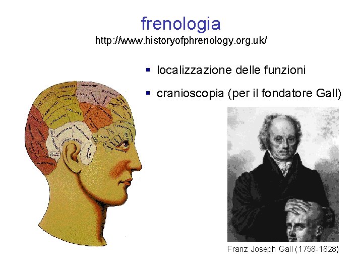 frenologia http: //www. historyofphrenology. org. uk/ § localizzazione delle funzioni § cranioscopia (per il