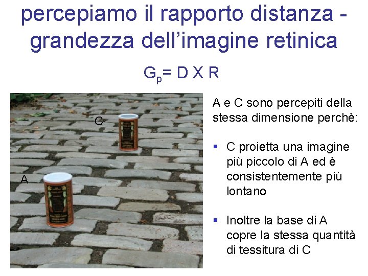 percepiamo il rapporto distanza grandezza dell’imagine retinica G p= D X R C A