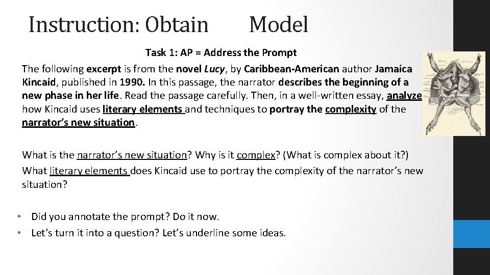 Instruction: Obtain Model Task 1: AP = Address the Prompt The following excerpt is