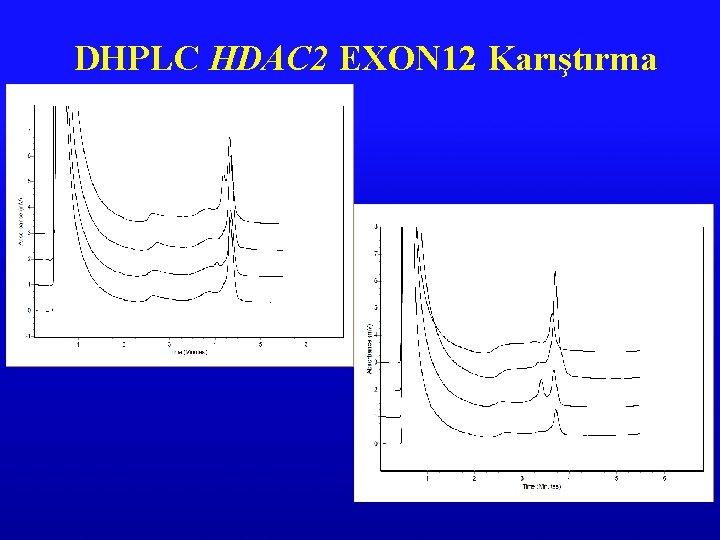 DHPLC HDAC 2 EXON 12 Karıştırma 