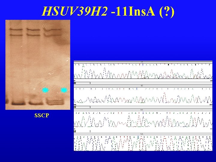HSUV 39 H 2 -11 Ins. A (? ) SSCP 