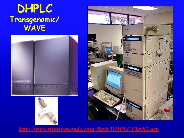 DHPLC Transgenomic/ WAVE http: //www. transgenomic. com/flash/DHPLCFlash 2. asp 