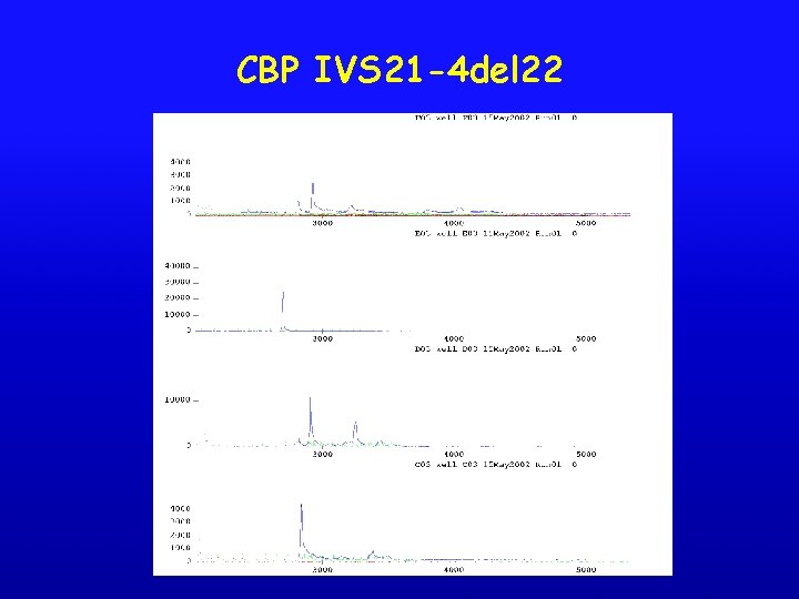 CBP IVS 21 -4 del 22 