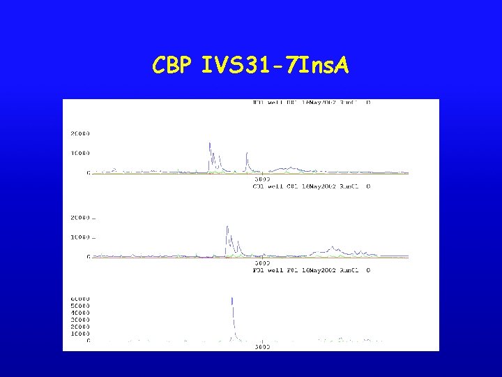 CBP IVS 31 -7 Ins. A 
