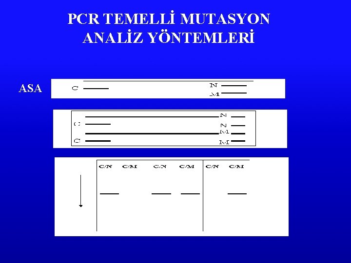 PCR TEMELLİ MUTASYON ANALİZ YÖNTEMLERİ ASA 