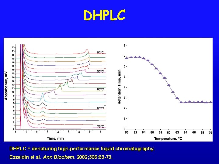 DHPLC = denaturing high-performance liquid chromatography. Ezzeldin et al. Ann Biochem. 2002; 306: 63