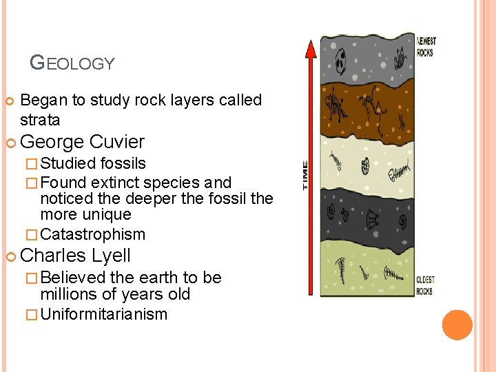 GEOLOGY Began to study rock layers called strata George Cuvier � Studied fossils �