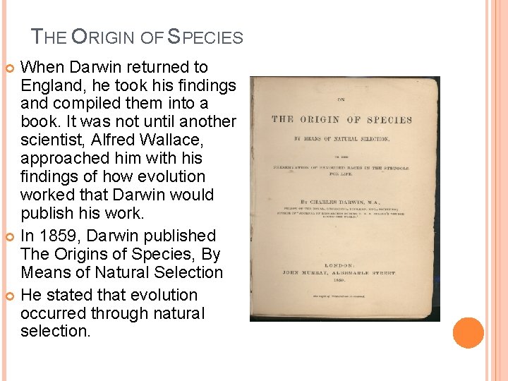 THE ORIGIN OF SPECIES When Darwin returned to England, he took his findings and