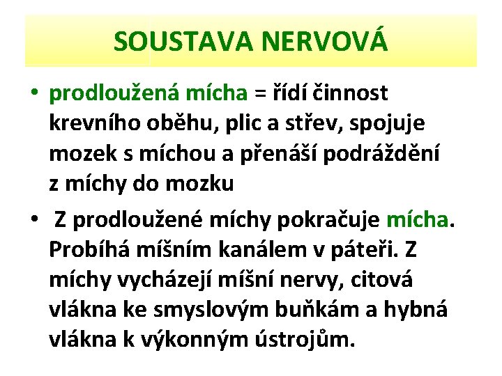 SOUSTAVA NERVOVÁ • prodloužená mícha = řídí činnost krevního oběhu, plic a střev, spojuje