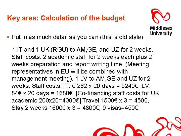 Key area: Calculation of the budget • Put in as much detail as you