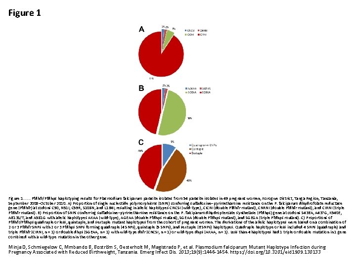 Figure 1. . Pfdhfr/Pfdhps haplotyping results for Plasmodium falciparum parasite isolates from 54 parasite