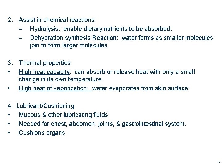 2. Assist in chemical reactions – Hydrolysis: enable dietary nutrients to be absorbed. – 2. Assist in chemical reactions – Hydrolysis: enable dietary nutrients to be absorbed. –