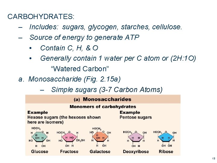 CARBOHYDRATES: – Includes: sugars, glycogen, starches, cellulose. – Source of energy to generate ATP CARBOHYDRATES: – Includes: sugars, glycogen, starches, cellulose. – Source of energy to generate ATP