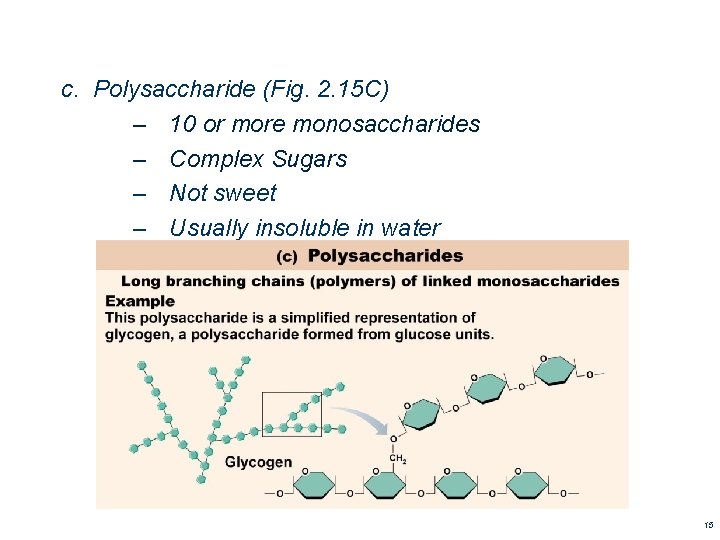 c. Polysaccharide (Fig. 2. 15 C) – 10 or more monosaccharides – Complex Sugars c. Polysaccharide (Fig. 2. 15 C) – 10 or more monosaccharides – Complex Sugars