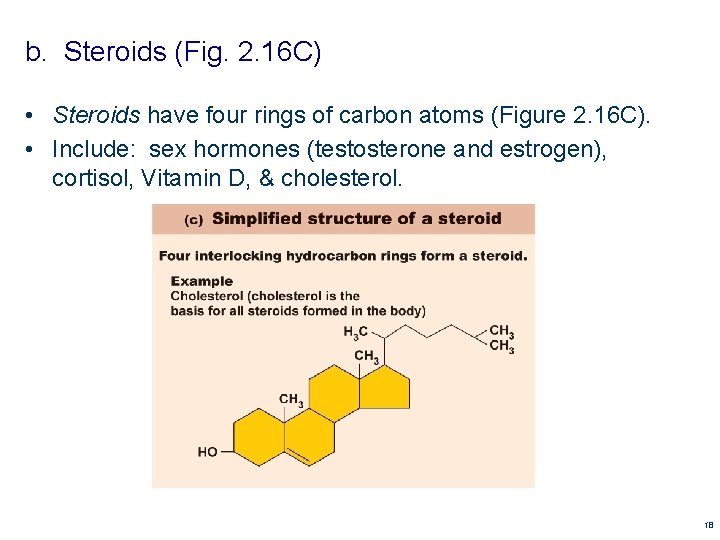 b. Steroids (Fig. 2. 16 C) • Steroids have four rings of carbon atoms b. Steroids (Fig. 2. 16 C) • Steroids have four rings of carbon atoms