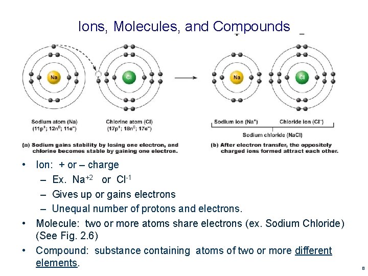 Ions, Molecules, and Compounds • Ion: + or – charge – Ex. Na+2 or Ions, Molecules, and Compounds • Ion: + or – charge – Ex. Na+2 or
