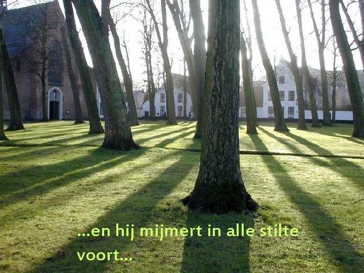 …en hij mijmert in alle stilte voort… 