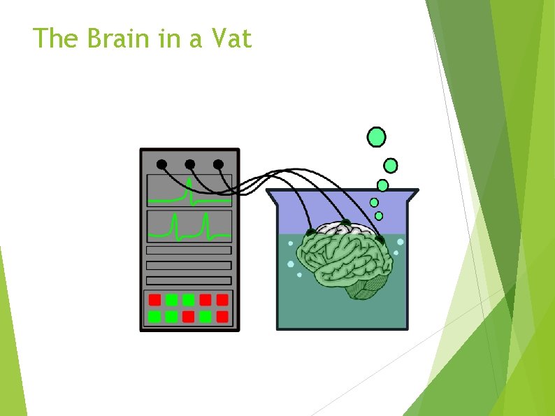 The Brain in a Vat 