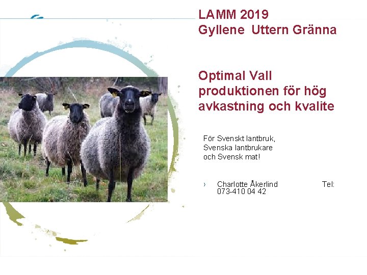 LAMM 2019 Gyllene Uttern Gränna Optimal Vall produktionen för hög avkastning och kvalite För