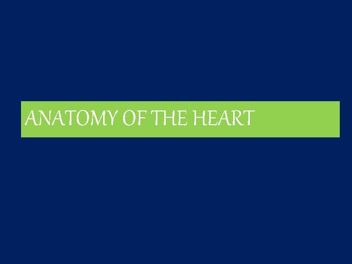 ANATOMY OF THE HEART 