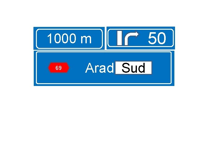 1000 m 69 Arad Sud 50 