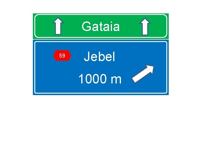 Gataia 59 Jebel 1000 m 
