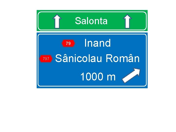 Salonta Inand Sânicolau Român 79 797 1000 m 