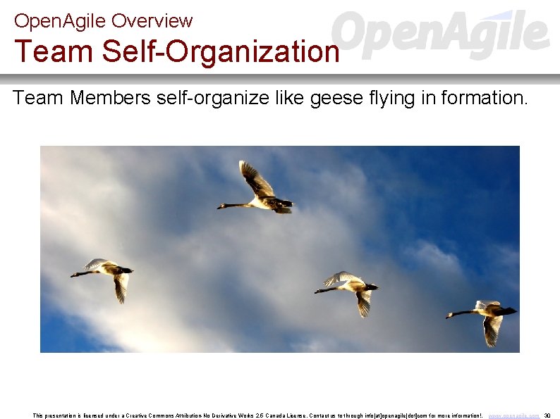 Open. Agile Overview Team Self-Organization Team Members self-organize like geese flying in formation. This