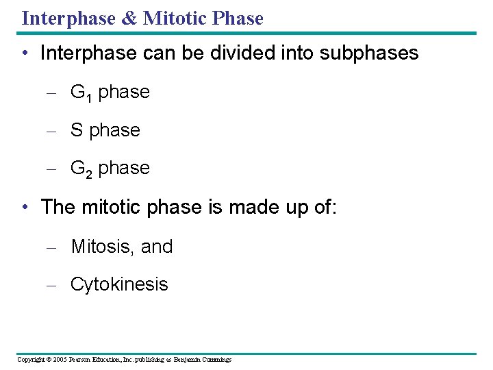 Interphase & Mitotic Phase • Interphase can be divided into subphases – G 1