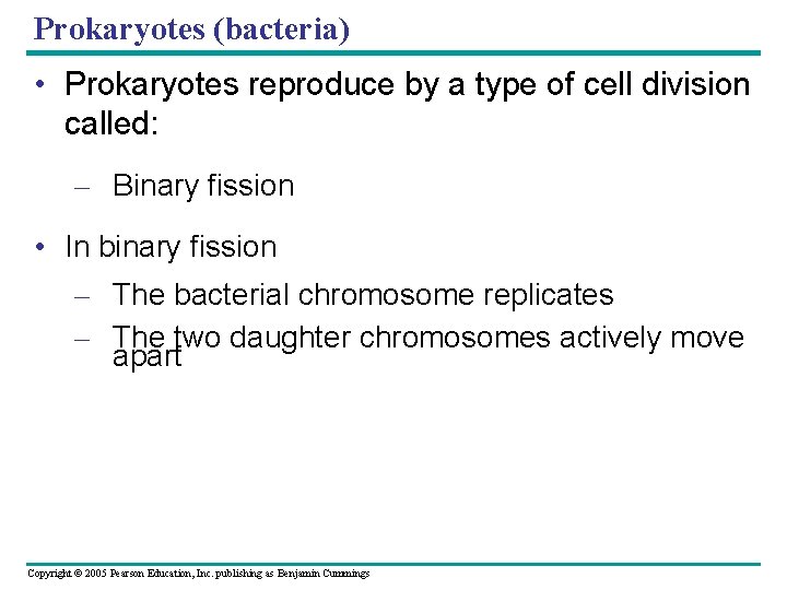 Prokaryotes (bacteria) • Prokaryotes reproduce by a type of cell division called: – Binary
