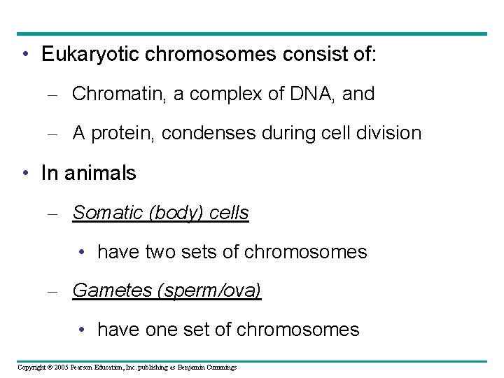  • Eukaryotic chromosomes consist of: – Chromatin, a complex of DNA, and –