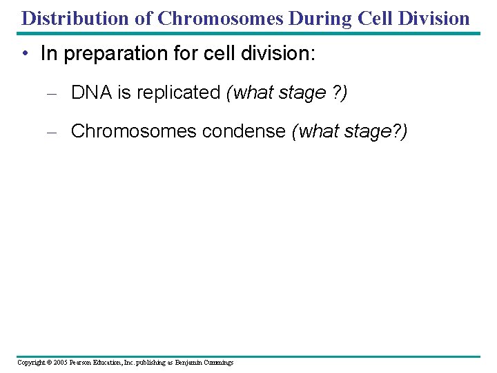 Distribution of Chromosomes During Cell Division • In preparation for cell division: – DNA